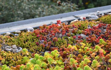 the cost of Balls Hill green roof installation