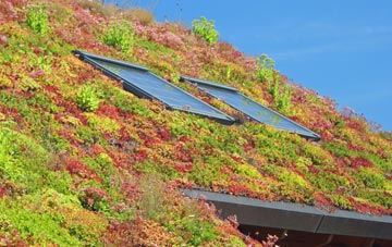 Balls Hill living roof systems